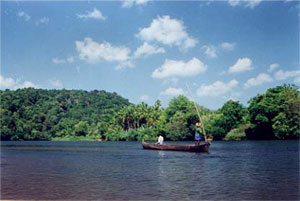 River Sauparnika