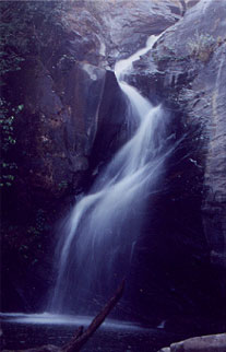 BANGARU PALKE