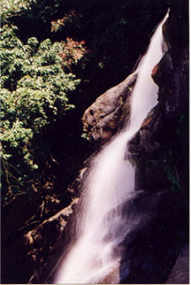 MARKAVAL KATTE